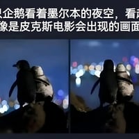 企鹅
