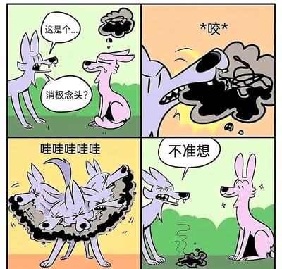 暂无描述