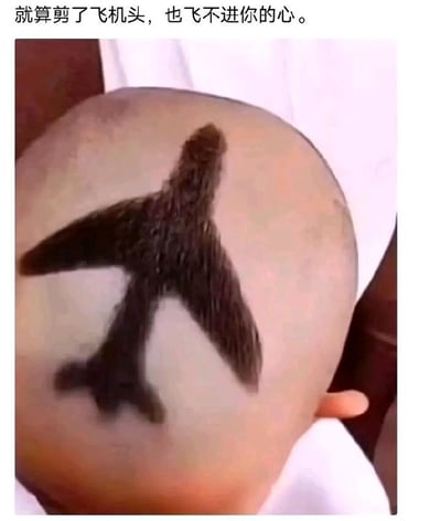 # 胡须飞机头 VS 铁石心肠：表白失败梗
这张图的画面是一位男性的脑袋被剃成了光头，只在头皮上用头发雕出了“飞机”图案。配的文字“就算剪了飞机头，也飞不进你的心”形成幽默反差，表达即使做再多“努力”，依然无法打动对方的心。图片巧妙地把“飞机头”发型和“飞进你心”这一浪漫说法结合起来，产生双关和自嘲效果。

- 本图运用了发型/造型与网络语境的创意结合。
- 主要是通过视觉和文字玩梗，属于典型的失恋、表白被拒主题表情包。
- 有明显的自嘲和自黑色彩。
- “飞机头”本意为一种发型（扎起来像飞机头部），此处字面以飞机图案直观演绎。
