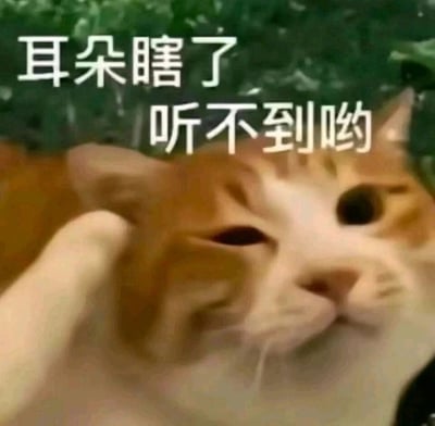 这是一张趣味搞笑的表情包，画面中一只橘猫的眼部被人手捏住，利用视觉错位效果让猫咪的眼睛看起来像是被捏住的耳朵，搭配文字“耳朵瞎了 听不到哟”，用故意的文字错误和错位视觉制造反差感，营造出耍赖、刻意不想听别人说话的搞笑氛围，非常适合在聊天时用来表达不想理会他人、逃避回应的情绪。