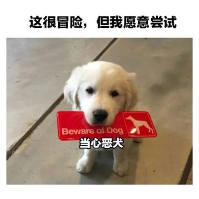 图片中一只白色的金毛幼犬坐在地面上，嘴里叼着一块红色的警示牌。警示牌上有英文“Beware of Dog”和一个狗的剪影图案，下方配有中文“当心恶犬”字样。图片顶部有一行文字“这很冒险，但是我愿意尝试”。整体通过幼犬的可爱形象与“当心恶犬”警示牌形成强烈反差，营造出幽默搞笑的效果。