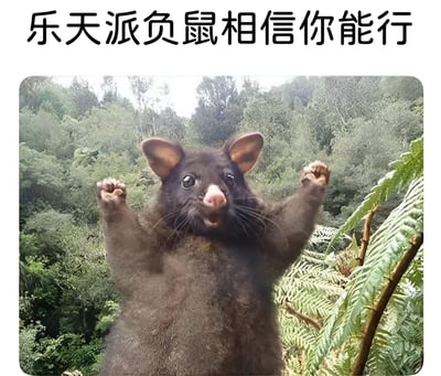 图片主体是一只站立在森林背景中的负鼠，它直立身体，举起两只前爪，眼睛圆睁，嘴巴微张，表情显得活泼且充满活力。图片顶部有一行黑色文字：“乐天派负鼠相信你能行”，整体传达出积极鼓励的氛围。