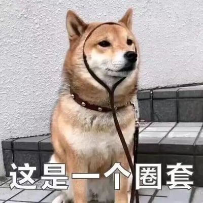 图片中是一只戴着棕色项圈的柴犬，它平静地坐在铺着瓷砖的台阶上，背景是一面浅色的粗糙墙面。项圈的皮带在狗的头部前方自然垂下，形成了一个圆形的视觉效果。图片底部有一行白色文字：“这是一个圈套”，利用项圈形成的“圈”与文字“圈套”形成双关幽默。
