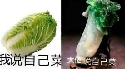 这是一张对比梗图，左侧是一颗真实的白菜，配文‘我说自己菜’，表示普通人自嘲能力不足；右侧是台北故宫博物院的翡翠白菜文物，配文‘大佬说自己菜’，暗示大佬的‘菜’是谦虚，两者形成鲜明反差，幽默展现不同身份者自嘲的差异。