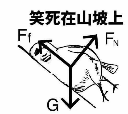 笑死在山坡上的物理受力分析梗图