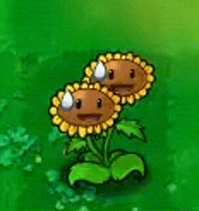 这是一段动态图（GIF），画面主体是游戏《植物大战僵尸》中的双子向日葵，它生长在绿色的草地背景上，两个花盘都挂着汗珠，表情看起来十分慌张、焦虑，同时向日葵的身体有轻微的晃动，整体呈现出一种紧张不安的状态，常被用来表达人们在面对压力时的焦虑情绪，作为情绪类表情素材使用。