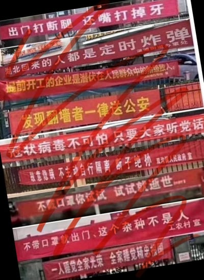 这是一张多图拼接的图片，集合了新冠疫情初期国内多个乡镇、街道的硬核防疫宣传横幅，标语风格直白强硬，部分带有恐吓性语言，还包含谐音梗：<br>「不戴口罩你试试 试试就逝世」用“逝世”谐音“试试”，强化不戴口罩的严重后果。这些标语以极端化的表述来宣传防疫政策，在当时被网友收集传播，用来调侃这类特殊的防疫宣传方式。