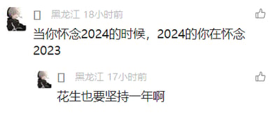 这是一张社交媒体评论截图，展示了来自黑龙江的同一用户先后发布的两条动态。第一条动态发布于18小时前，内容为“当你怀念2024的时候，2024的你在怀念2023”，这句话带有对时光流转、人们总是习惯性怀念过去的细腻感慨，点出了人们在不同时间节点对过往的追忆心态；第二条动态发布于17小时前，内容为“花生也要坚持一年啊”，像是用户对自己或者某个名为“花生”的对象的鼓励话语，传递出一种在时光中坚持的正向情绪。截图中用户使用卡通风格头像，整体界面简洁，以文字内容为核心。