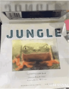 《JUNGLE》书籍封面