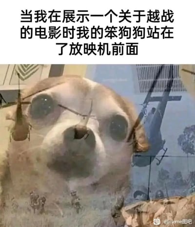 这是一张充满趣味的合成meme图，上方配有文字“当我在展示一个关于越战的电影时我的笨狗狗站在了放映机前面”。画面将狗狗的脸部形象与越战电影里的直升机、战场士兵等画面投影合成在一起，狗狗的脸和投影画面完全重叠，形成了荒诞滑稽的视觉效果，仿佛狗狗的脸庞出现在了越战的战场场景中，利用投影错位的巧合感制造出强烈的反差笑点，显得既搞笑又充满创意。