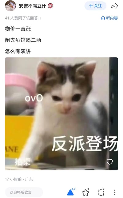 这是一张社交媒体回答截图，发布者账号名为“安安不喝豆汁”，回答开头配文为“物价一直涨 闲去酒馆喝二两 怎么有演讲”，利用“演讲”谐音“盐涨”玩食盐涨价相关热点梗；下方配图是一只棕白相间的小猫，猫脸部添加文字“ovO”，前爪位置标注文字“拍桌”，图片右下角配有醒目的大字“反派登场”，将涨价事件拟人化为反派出场，用萌宠meme调侃热点，风格诙谐有趣。