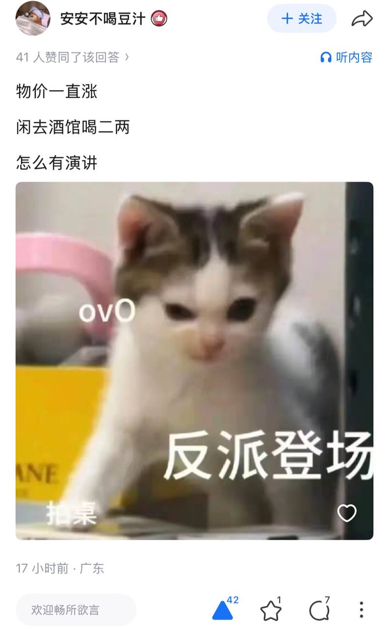 网络萌宠meme