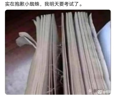 暂无描述