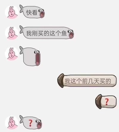 这是一张模拟即时通讯软件的搞笑聊天记录截图，对话双方使用不同的卡通气泡进行交流。左侧用户的头像为粉色兔子脸，先是用鱼形气泡发送“快看”“我刚买的这个鱼”，紧接着发送了一个没有任何文字的空鱼形气泡，以此玩梗，假装这个空气泡就是自己“买的鱼”；右侧用户使用棕色瓶形气泡，没有理解这个梗，回复“我这个前几天买的”，随后发出疑惑的问号，左侧用户也同样回复了疑惑的问号，整个对话因为梗的错位产生了搞笑的效果。