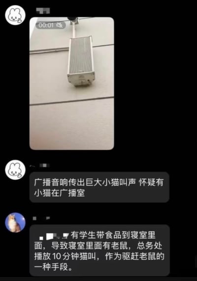 这是一段校园社群的聊天记录截图，先是一位用户分享了一段1秒的室外广播音响的视频，配文表示听到广播传出巨大的猫叫声，怀疑有小猫被困在广播室里；随后另一位用户回复解释了真相：因为有学生带食品到寝室，导致寝室出现老鼠，总务处便通过广播播放10分钟猫叫，以此作为驱赶老鼠的手段，解开了之前的误会，这个实用又有点搞笑的操作让人忍俊不禁。