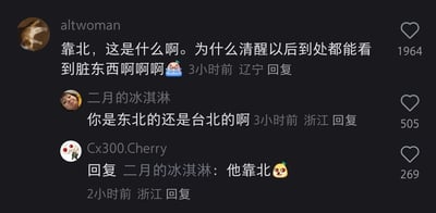 这是一张社交媒体评论区的静态截图，呈现了三位用户的趣味互动：来自辽宁的用户altwoman用带有情绪的语气吐槽“靠北，这是什么啊。为什么清醒以后到处都能看到脏东西啊啊啊😫”，使用了台湾地区常用的闽南语方言词“靠北”来表达烦躁；来自浙江的用户二月的冰淇淋好奇提问“你是东北的还是台北的啊”，因为“靠北”是台湾地区常用语，而东北并无该方言用法；同样来自浙江的用户Cx300.Cherry则玩梗回复“他靠北🥝”，巧妙回应了地域疑问。三条评论的获赞数分别为1964、505、269，整体围绕“靠北”这个地域相关的网络用语展开了轻松的对话。