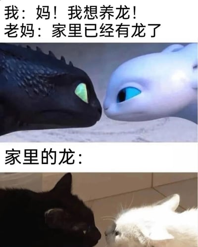 这是一张幽默梗图，通过上下对比制造笑点。上方文字显示孩子向妈妈请求养龙，妈妈回答家里已经有龙了。上半部分图片展示《驯龙高手》中的黑色夜煞与白色光煞对视的经典场景，下半部分图片则展示两只家猫（一只黑猫一只白猫）以相似姿势对视，配文“家里的龙：”，用猫咪调侃式替代了真正的龙，形成幽默对比。