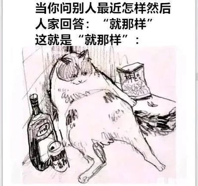 这是一张文字加注的黑白线稿静态图，图上方配有说明文字：“当你问别人最近怎样然后人家回答：‘就那样’这就是‘就那样’：”，解释了图中内容的含义。图里是一只拟人化的胖猫，它瘫靠在一处，肚子圆鼓，眼神慵懒颓废，四肢放松地张开，旁边摆放着酒瓶和膨化零食袋，整体姿态呈现出一种浑浑噩噩、得过且过、没什么干劲的倦怠感，精准地具象化了人们口中“就那样”这种模糊又带着倦怠感的生活状态，很容易引发当代人的情绪共鸣。