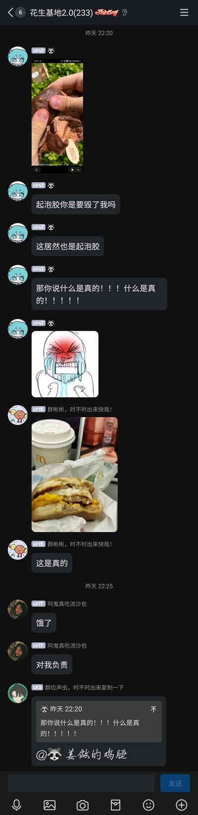 这是一张手机QQ群聊的竖屏截图，群名为“花生基地2.0(233)”，记录了群友间围绕仿真起泡胶展开的轻松搞笑对话。LV47的蓝发卡通头像用户首先发送了一段高度仿真费列罗巧克力造型的起泡胶视频，随后连发三条消息表达震惊与崩溃：“起泡胶你是要毁了我吗”“这居然也是起泡胶”“那你说什么是真的！！！什么是真的！！！！！”，还搭配了一张崩溃哭泣的卡通表情包；紧接着LV15的用户发出一张麦当劳真实食物的照片，回复“这是真的”；之后LV17的用户顺势调侃“饿了”“对我负责”；最后LV3的用户引用之前的消息，@LV47的用户说“姜做的鸡腿”，整个对话充满群友间的趣味互动，氛围轻松诙谐。