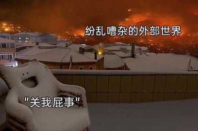 图片前景是一张被白雪覆盖的椅子，椅子上的积雪被简单勾勒出眼睛和嘴巴，形成一个淡定的表情。背景则是火光冲天、橙红交织的混乱景象，仿佛外部世界正经历剧烈动荡。图片上方配有文字“纷乱嘈杂的外部世界”，而椅子下方则有文字“关我屁事”，通过强烈的视觉和语义对比，幽默地表达了对外部喧嚣保持冷漠、置身事外的态度。