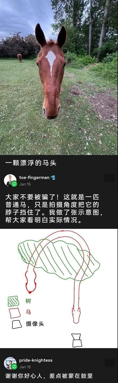 这是一张由三部分组成的搞笑梗图：最上方是一张利用拍摄角度形成视觉错觉的实拍照片，一匹额头带有白色纹路的棕色马，因拍摄角度导致身体被地面遮挡，看起来仿佛只有马头“漂浮”在草地上；中间是社交平台用户toe-fingerman发布的内容，声称要揭穿这个视觉错觉，附带了一张完全不符合逻辑的错误手绘示意图，试图解释马的位置和拍摄角度，但示意图的内容完全是无厘头的错误描述；下方是另一用户pride-knightess的回复，假装完全相信了这个错误解释，用感谢的语气配合玩梗，形成了反差搞笑的效果。