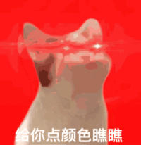 图片主体为现象级网络迷因角色Pop猫，一只白色猫咪在纯红色背景下呈现标志性的抬头张嘴O形表情，眼部有红色光效处理，下方配有醒目中文文字'给你点颜色瞧瞧'。整体构图简洁，通过猫咪夸张的表情与带有调侃意味的文字结合，营造出幽默诙谐的效果。