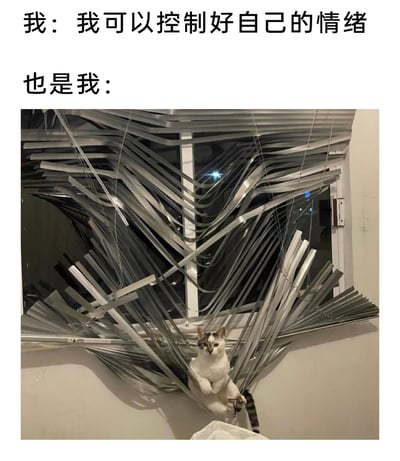 这是一张通过文字与画面反差制造笑点的梗图，上方文字分为两部分，第一部分是“我：我可以控制好自己的情绪”，表现出人们对自身情绪管理的自信；第二部分是“也是我：”，下方搭配一张真实拍摄的照片：一只白棕相间的猫咪，一脸平静地待在被彻底破坏、金属叶片完全散乱扭曲的百叶窗中间，整个画面呈现出极度混乱的状态。这张图用幽默的方式，将人们嘴上宣称的“情绪稳定”和实际情绪失控后的混乱状态形成强烈对比，把抽象的情绪失控具象化为猫咪搞破坏后的混乱场景，精准戳中人们在情绪管理上“口是心非”的共鸣点，十分生动搞笑。