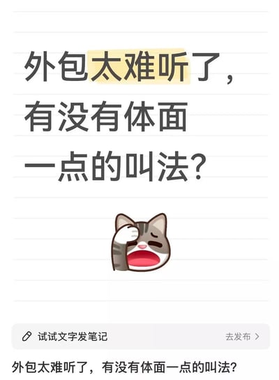 这张图是一则关于“外包”称呼的吐槽梗。配合一只捂脸崩溃的猫咪表情，表达了对“外包”这一叫法的嫌弃，觉得难听、不体面，建议换个好听点的说法。文字加上猫咪表情符号，整体风格轻松搞笑，非常适用于职场、打工人自嘲或者互联网工作相关内容。没有明显双关或谐音梗，但“外包太难听”背后其实在暗示对外包行业标签、身份认同感的敏感和自嘲。

【梗点补充】：可以理解为一种语言包装上的“体面梗”。