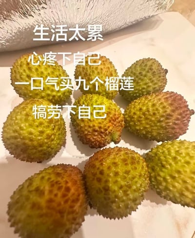 这是一张网友创作的搞笑梗图，画面主体为摆放在白色平面上的9颗带尖刺外壳的新鲜荔枝，上方叠加了四行白色居中文字。内容利用荔枝带刺的外壳和榴莲外形有相似性的特点制造反差笑点，用看似大手笔买昂贵榴莲犒劳自己的说法，实际只是买了平价荔枝，幽默表达普通人想要自我奖励又不愿过度消费的自嘲心态，轻松有趣。