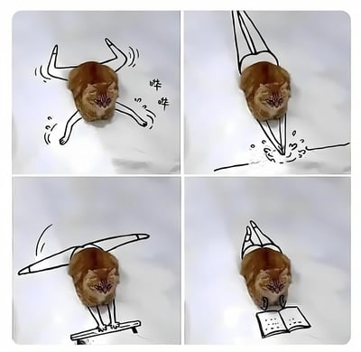 四格连环拼贴漫画，每格均以真实橘猫头部为主体，搭配手绘的人类身体动作。左上格：橘猫头部连接劈叉双腿，周围有波浪线和“哗哗”拟声词；右上格：头部下接垂直跳水姿势，下方有溅水效果；左下格：站在平衡木上做体操动作；右下格：双手捧着打开的书本阅读。通过猫咪严肃的表情与荒诞的人类活动形成强烈反差，营造出幽默搞笑的效果。