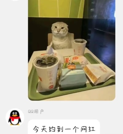 图片中一只白色猫咪正坐在餐厅的餐桌前，面前的绿色托盘上放着两杯饮料、一个蓝色包装的食品和几个纸袋。猫咪表情淡定，眼神直视镜头，仿佛一位正在赴约的“网红”。图片下方有QQ用户的评论：“今天约到一个网红”，整体场景幽默有趣，展现了猫咪拟人化的可爱瞬间。