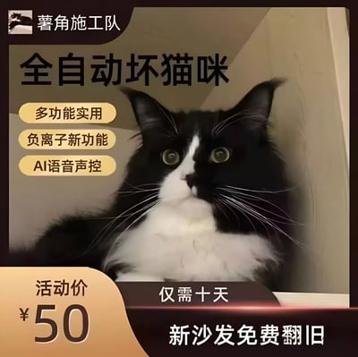 图片主体是一只黑白相间的长毛猫，它睁着圆溜溜的绿色眼睛，表情略带惊讶地蹲坐在角落。图片采用商品促销广告的排版风格，上方大字标题为“全自动坏猫咪”，左侧配有三个黄色标签，分别写着“多功能实用”“负离子新功能”“AI语音声控”。底部左侧标注“活动价 ¥50”，右侧则是“仅需十天 新沙发免费翻旧”。整体通过夸张的产品宣传话术，幽默调侃猫咪喜欢抓挠沙发的习性，将其“破坏行为”包装成付费服务，营造出搞笑效果。