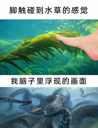 这是一张上下拼接的搞笑反差梗图，上半部分呈现现实场景：一只人类的脚在水下环境中触碰着形态舒展的海草，配文“脚触碰到水草的感觉”，还原了人在水下接触到水生植物的真实场景；下半部分是创作者脑补的恐怖画面：一只体型庞大的克苏鲁风格巨型章鱼怪，在幽暗深海中用触手缠绕住一艘船只，眼神凶狠充满压迫感，配文“我脑子里浮现的画面”。通过现实中柔软无害的水草，与脑补里恐怖的深海怪物形成强烈反差，生动调侃了人在水下视线受阻时，对未知触感产生的恐惧脑补心理。