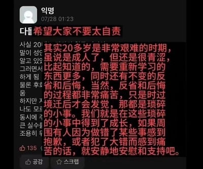 一张社交媒体截图，显示匿名用户“익명”于07/28 01:23发布的安慰内容。背景为黑色，主标题“希望大家不要太自责”及正文采用红色文字突出显示，内容围绕20多岁人群的艰难处境展开，提及该阶段虽已成年但仍显青涩、需大量学习新事物，以及反省与后悔带来的痛苦，强调这些经历都是成长的一部分，并呼吁对犯错后痛苦的人给予安静的安慰与支持。截图左侧可见部分韩文界面元素（如点赞数“135”、“공감”等互动标识）。