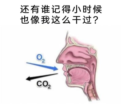 这是一张图文混排的静态图，顶部配有文字“还有谁记得小时候也像我这么干过？”，下方是人体口鼻部位的解剖示意图，图中用蓝色箭头标注氧气（O₂）从鼻腔吸入，黑色箭头标注二氧化碳（CO₂）从口腔呼出，模拟了小时候故意用鼻子吸气、嘴巴吐气的反向呼吸调皮行为，用医学示意图的形式趣味还原童年的无聊小玩法，以此引发观者对童年趣事的共鸣。