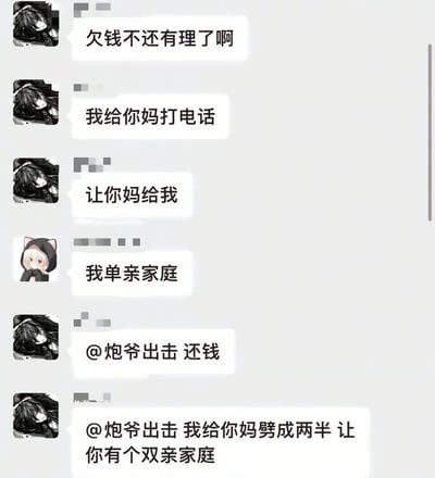 这是一张社交软件群聊截屏梗图。几人就欠钱话题斗嘴，其中一方试图以“我单亲家庭”博取同情，却被另一位直接以“劈成两半让你有双亲家庭”的极端发言反杀，展现了网络冷幽默和反转梗。整体风格嘴炮感强、黑色幽默鲜明，常作为群聊引战、调侃借口的表情包使用。

**亮点：本图为典型的网络怼人式梗图，涉及“反转梗”和“嘴炮式幽默”。**