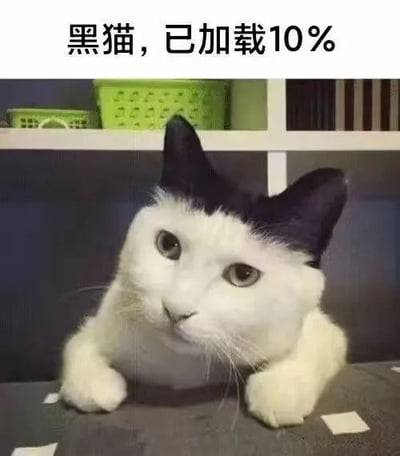 这是一张趣味P图梗图，图中的真实奶牛猫只有两只耳朵为黑色，搭配顶部的文字“黑猫，已加载10%”，用软件加载进度的创意来调侃这只猫咪的黑色毛发仅占耳朵部分，如同“黑猫”只加载了10%的进度，通过拟人化的加载概念制造幽默搞笑的效果，没有双关、谐音梗等特殊隐含内容。