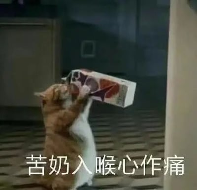 这是一张文字加注的静态表情包，画面主体是一只橘色的加菲猫，它直立起身体，用两只前爪举着一盒饮品仰头饮用，姿态显得有些狼狈又带着无奈感。图片下方配有文字“苦奶入喉心作痛”，这里运用了谐音梗，将“苦海”谐音为“苦奶”，化用了类似“苦海无涯”的表意，用猫咪喝“苦奶”的具象画面，幽默地比喻人陷入艰难、苦涩的处境时内心的痛苦，以此来抒发烦心事缠身、处境不顺的郁闷情绪。