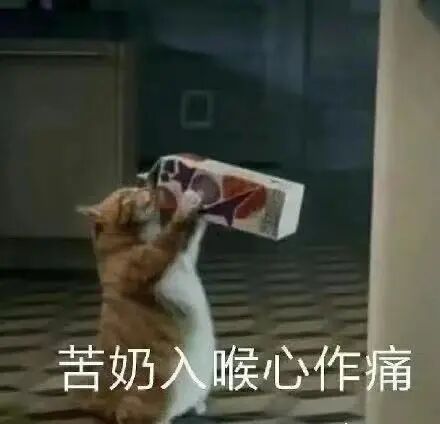 加菲猫