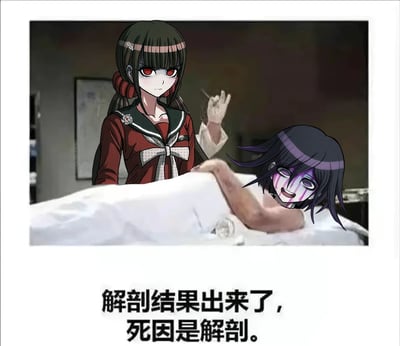 这张梗图以医学法医解剖为背景，将《弹丸论破》系列中的角色头部P在现实场景中，配上幽默文字“解剖结果出来了，死因是解剖”，形成了一个冷幽默式的循环逻辑笑点。画面中的角色一脸戏谑，突出梗的荒诞感。

**双关/谐音梗说明**：文字使用了“死因是解剖”这种自指性强且无厘头的说法，属于中文语境下常见的冷笑话。