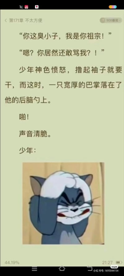 这是一张竖屏的图文混排搞笑内容，上方是来自番茄小说的网文片段，内容为：神秘人对着少年喊“你这臭小子，我是你祖宗！”，少年愤怒回应“嗯？你居然还敢骂我？！”后撸起袖子要动手，这时被人一巴掌拍在后脑勺，随后配上《猫和老鼠》中汤姆猫双手捂头、表情愤怒又憋屈的动画截图，精准贴合少年被打后的情绪状态，将网文里的场景用经典表情包具象化，放大了内容的搞笑效果。