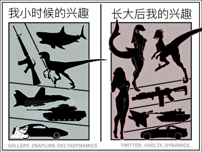 这是一张“我小时候的兴趣 vs 长大后的兴趣”梗图，左侧展示小时候喜欢的物品如枪、鲨鱼、恐龙、战斗机、坦克、跑车，右侧则是长大后这些兴趣被拟人化或与性感元素结合，如恐龙与鲨鱼变成了拟人性感形象，跑车、坦克和武器依然存在，但增加了女性身材轮廓，带有幽默、恶搞和暗示意味。这种对比体现了一种“童年兴趣在成人后变得复杂或者变味”的网络自嘲风格。

图中通过暗示（如恐龙拟人化为女性身材，女性剪影），表现了成年人兴趣从单纯变得带有性暗示色彩的双关梗。