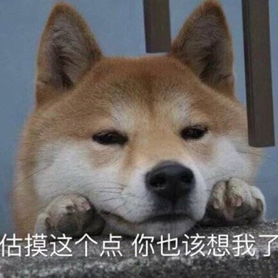 图片为一只柴犬的特写镜头，毛色呈浅棕色与白色相间，耳朵竖立，双眼半眯，前爪搭在灰色台面上，头部微微前倾，表情平静中带着一丝期待。图片底部有一行白色文字：“估摸这个点 你也该想我了”，整体营造出温馨俏皮的氛围，通过宠物的可爱形象传递思念的情感。