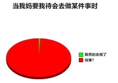 图片上方配有文字“当我妈要我待会去做某件事时”，下方是一个红色圆形（类似饼图），其中仅有一个极细的绿色切片。右侧分别标注“我真的去做了”（绿色）和“啥事?”（红色）。通过饼图面积的巨大差异，幽默地表现了当妈妈交代稍后做某事时，自己大概率会忘记（红色部分占比极大），只有极小概率能记住并完成（绿色部分占比极小）的真实生活场景。