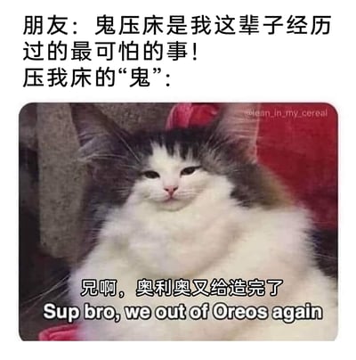 这是一张充满反差感的搞笑梗图，上方配文以朋友的视角吐槽“鬼压床是这辈子经历过的最可怕的事”，引出所谓压床的“鬼”——一只体型圆胖、毛发蓬松的长毛猫。这只猫表情慵懒淡定，带着一丝欠揍的神态，下方配文为“兄啊，奥利奥又给造完了”，同时附上英文翻译“Sup bro, we out of Oreos again”。图中用日常养宠的搞笑场景消解了“鬼压床”的恐怖感，将压床的原因戏谑地归结为胖猫的体重，而猫只关心零食被吃完，这种错位的笑点让整图充满诙谐感，十分贴合日常养宠的趣事。