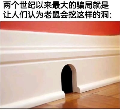 图片上方为黑色粗体文字“两个世纪以来最大的骗局就是让人们认为老鼠会挖这样的洞：”，下方是一张实拍照片。照片中展示了一个位于白色踢脚线底部的拱形洞口，洞口边缘光滑整齐，背景为红色墙面和木质地板。整体通过文字与图片结合，以幽默调侃的方式质疑人们对老鼠洞外观的普遍认知。
