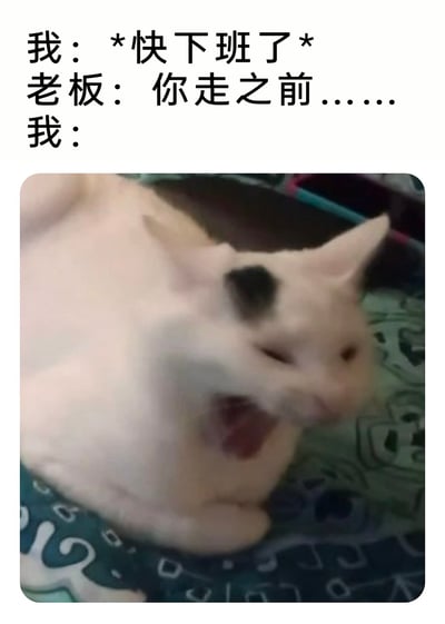这是一张贴合职场打工人心态的搞笑表情包，上方通过三段式对话构建场景：打工人正怀着期待的心情准备下班，此时老板开口说“你走之前……”，下方搭配一张因视觉错位导致脸部扭曲的猫咪图片，猫咪大张着嘴，表情崩溃抗拒，精准地还原了打工人在快下班时听到老板可能要安排额外工作的瞬间，那种绝望、无奈又抗拒的情绪，十分生动地戳中了职场打工人的共鸣点。