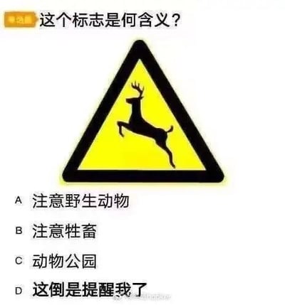 这是一张模仿驾考理论题的搞笑图片，上方是黄底黑边三角形的注意野生动物（鹿）交通警告标志，题目为“这个标志是何含义？”，下方设置了四个选项：A 注意野生动物、B 注意牲畜、C 动物公园、D 这倒是提醒我了。其中选项D是脱离常规的玩梗选项，打破了驾考题的严肃感，制造出幽默搞笑的效果。正确答案为选项A，该标志用于提醒驾驶员前方路段常有野生动物出没，需注意避让。