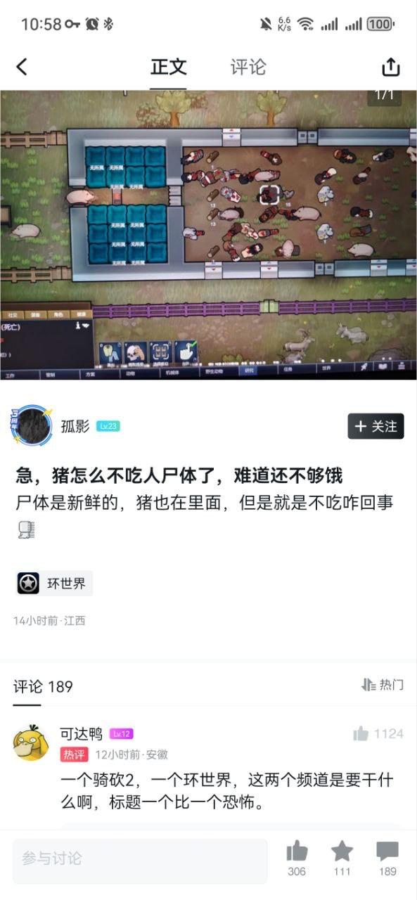 环世界