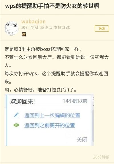 这是一张论坛社区的帖子截图，楼主ID为wubaqian，将WPS办公软件的欢迎提醒功能与游戏《黑暗之魂3》中的经典角色“防火女”进行趣味类比。楼主提到，《黑暗之魂3》里玩家操控的主角被BOSS击败后，回到火祭场总能听到防火女的一句“灰烬大人”，而每次打开WPS，软件都会弹出“欢迎回来！”的提示框，还提供“返回到上一次编辑的位置”“返回到之前离开的位置”的实用选项，这种温暖的迎接感让楼主觉得WPS提醒助手就像防火女转世，甚至把准备编辑文档调侃成“打怪（打字）”，用游戏玩家熟悉的场景赋予办公软件功能有趣的情感色彩，引发同好的共鸣。